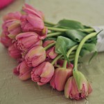 5 -
