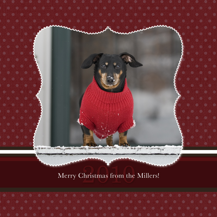 Personalized Christmas Cards by Pittsburgh Wedding Photographers