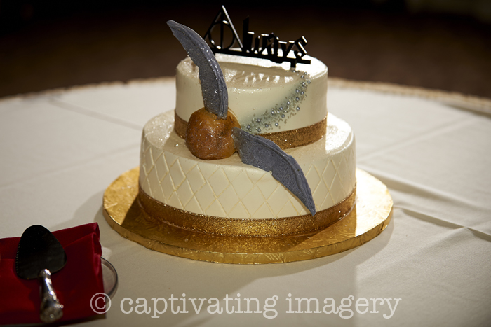 Harry Potter wedding cake