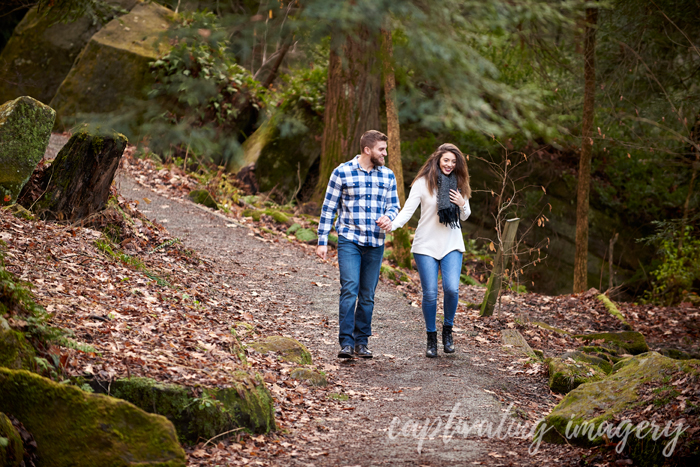 a walk in the woods