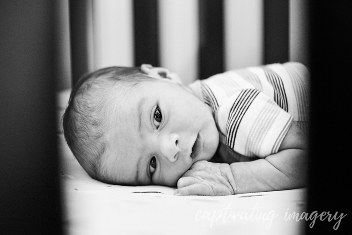 newborn portrait in crib