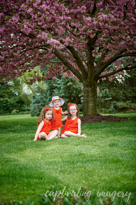 under a cherry tree