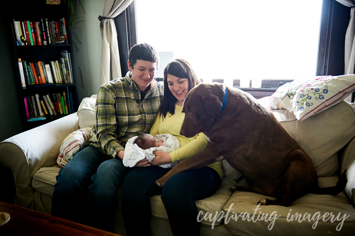 family dog meets baby