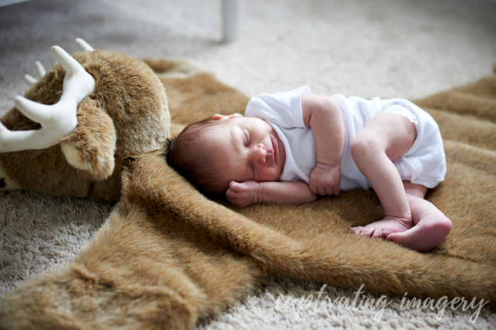 baby sleeping on a moose