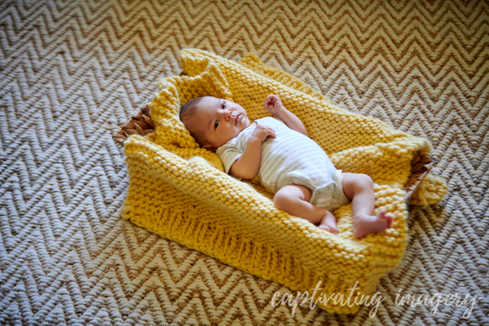 baby in a basket