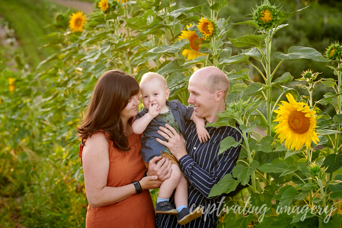 kisses by the sunflowers