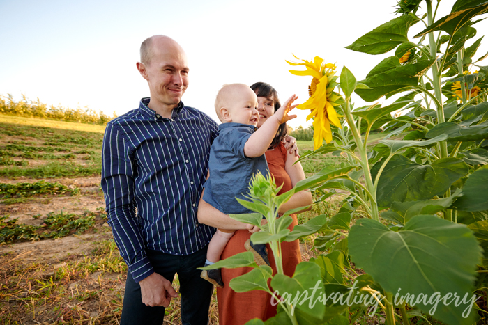 gotta touch that sunflower