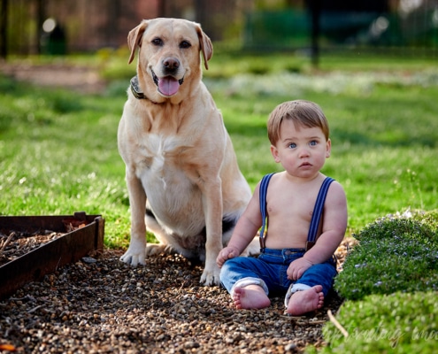 boy and dog in garden